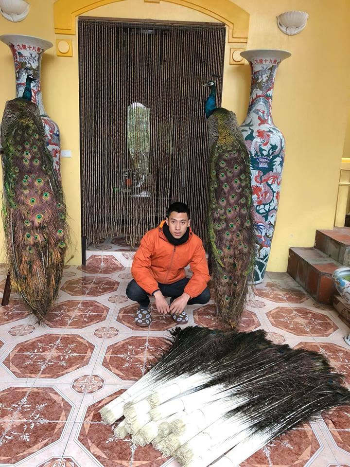 9x trẻ thành công với thương hiệu mang tên mình - lông công Xuân Hưng